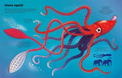 Big Sticker Book Weird Deep Sea Creatures