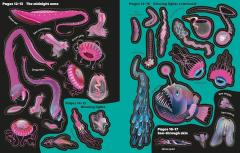 Big Sticker Book Weird Deep Sea Creatures