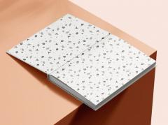 Agenda nedatata - Jurnalul dorintelor implinite