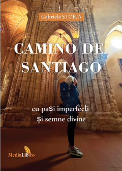 Camino de Santiago