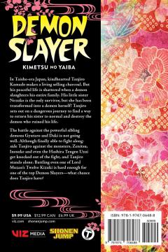 Demon Slayer: Kimetsu no Yaiba - Volume 11