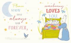 The World of Peter Rabbit