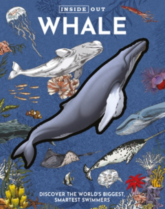 Whale