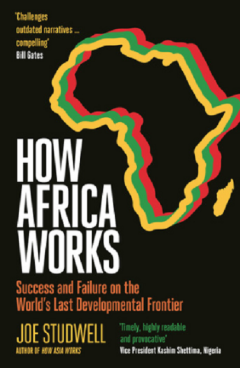 How Africa Works