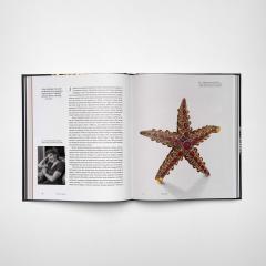 Brilliance: Jewelry Art and Fashion