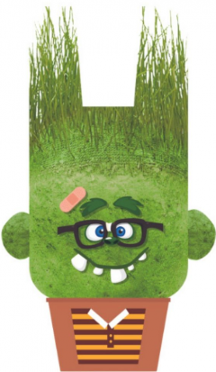 Jucarie educativa - Charles cel Vesel