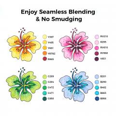 Set 40 markere Fine & Chisel - Ohuhu Oahu - Multicolor