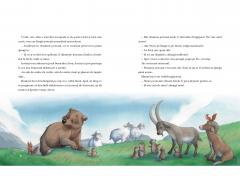 Povesti din umbra padurii