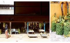 Sri Lanka: The Cookbook