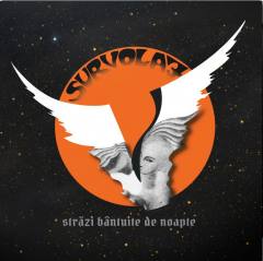 Strazi bantuite de noapte - Vinyl