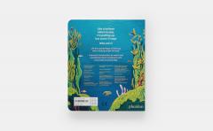 Who's Hiding? - Under The sea