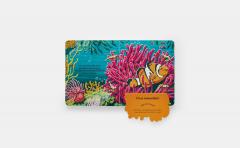 Who's Hiding? - Under The sea