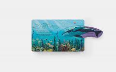 Who's Hiding? - Under The sea