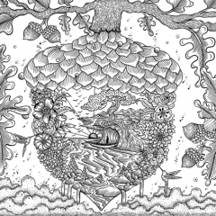 Minunata planeta pamant