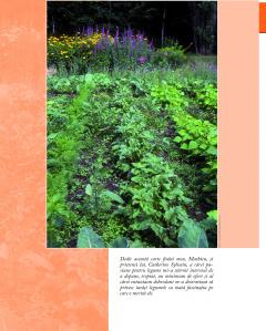 Gradinaritul fara efort