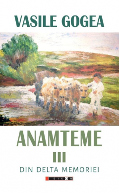 Anamteme III