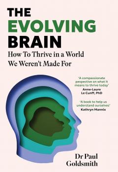 The Evolving Brain