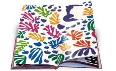 Matisse: The Bigger Picture