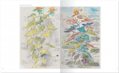 In ritmul lumii / In Tune with the World