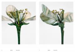 Models - Matei Bejenaru