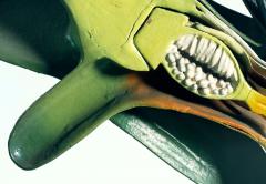 Models - Matei Bejenaru