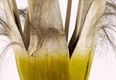 Models - Matei Bejenaru