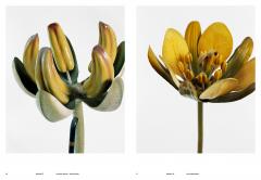 Models - Matei Bejenaru