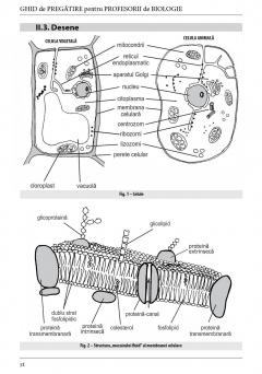 Ghid de pregatire pentru profesorii de biologie - Definitivat