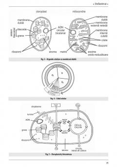 Ghid de pregatire pentru profesorii de biologie - Definitivat