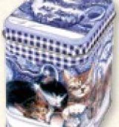 China Cat 100 gr Square Tin