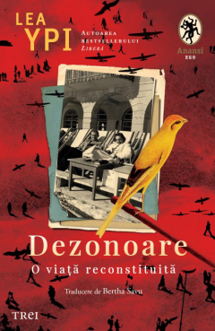 Dezonoare