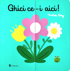 Ghici ce-i aici!