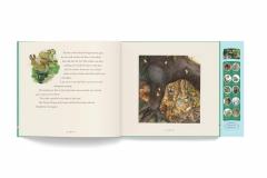 The Classic Tale of Peter Rabbit