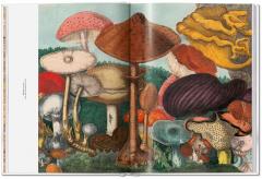 The Gourmand's Mushroom