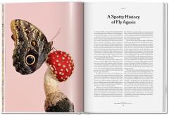 The Gourmand's Mushroom