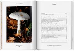 The Gourmand's Mushroom