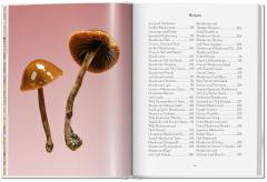 The Gourmand's Mushroom