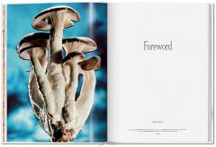 The Gourmand's Mushroom