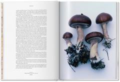 The Gourmand's Mushroom