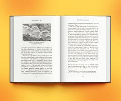 On the Origin of Sex