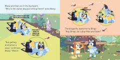 Bluey: Hide and Seek