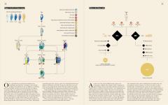 Ancient Rome: Infographics
