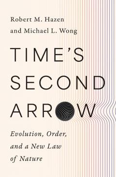 Time's Second Arrow