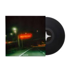 And I'd Do It Again - Vinyl