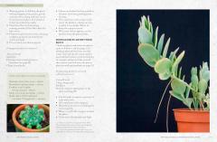 The Kew Gardener’s Guide to Growing House Plants