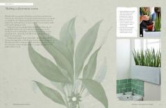 The Kew Gardener’s Guide to Growing House Plants