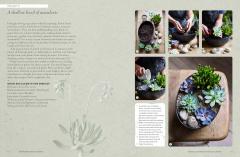 The Kew Gardener’s Guide to Growing House Plants