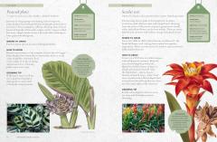 The Kew Gardener’s Guide to Growing House Plants