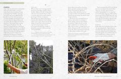 The Kew Gardener's Guide to Growing Fruit