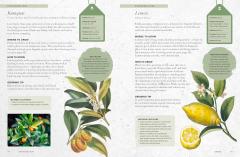 The Kew Gardener's Guide to Growing Fruit